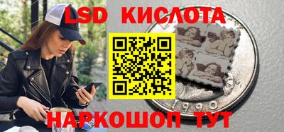 гидропоника Лесосибирск