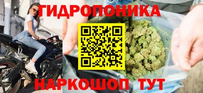 гидропоника Лесосибирск